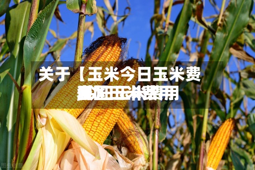 关于【玉米今日玉米费用,今日玉米费用全国玉米费用表】-第3张图片