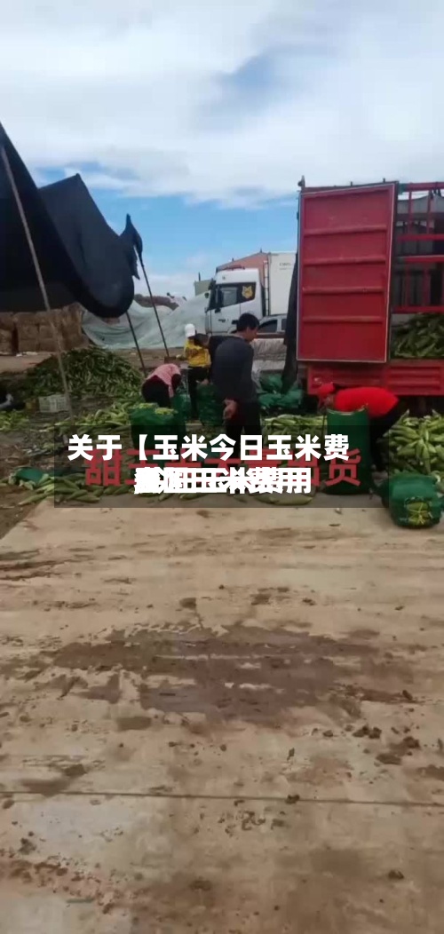 关于【玉米今日玉米费用,今日玉米费用全国玉米费用表】-第2张图片