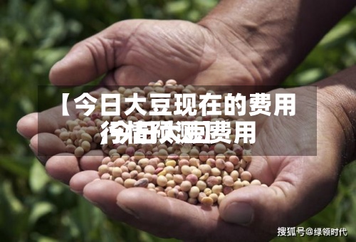【今日大豆现在的费用,今日大豆费用行情预测】