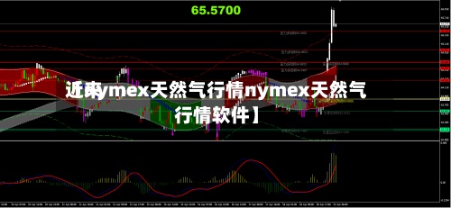 近来【nymex天然气行情nymex天然气行情软件】-第2张图片