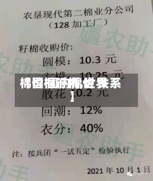 【国棉行情,世界棉价 国内棉价 关系】-第2张图片