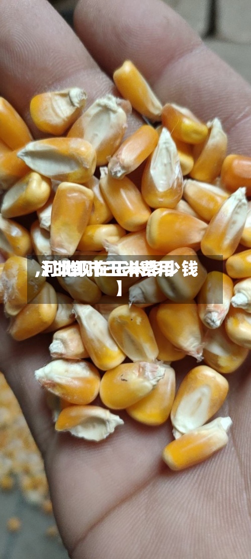 【邯郸市玉米费用,河北现在玉米多少钱】