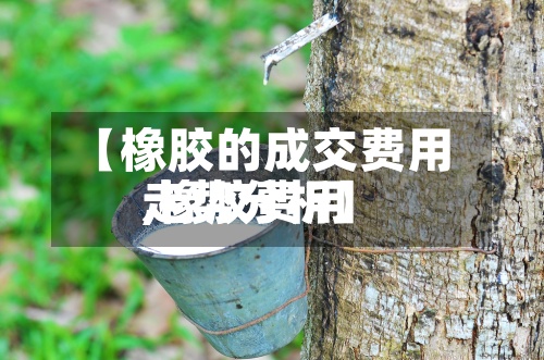 【橡胶的成交费用,橡胶费用走势分析】-第2张图片
