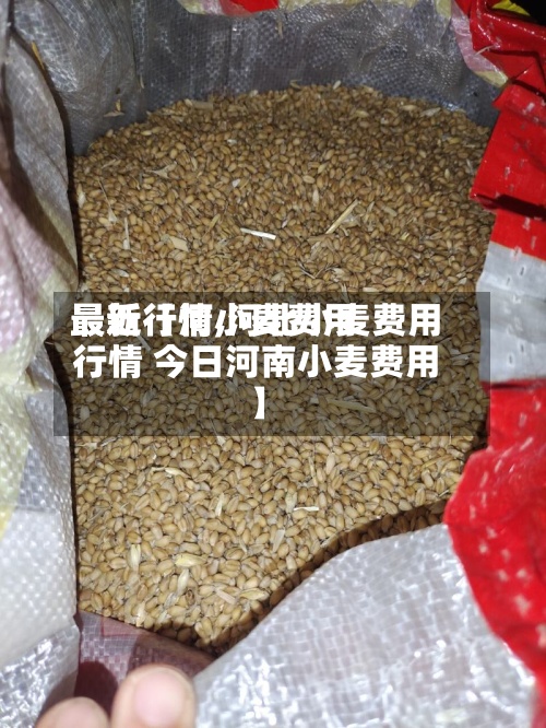 最近【河小麦费用最新行情,河北小麦费用行情 今日河南小麦费用】