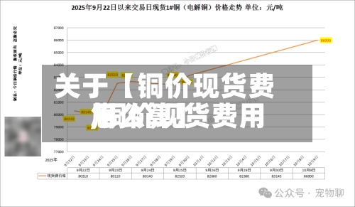 关于【铜价现货费用,铜价现货费用怎么算】