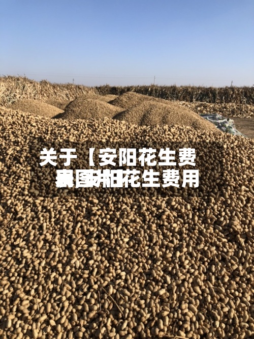 关于【安阳花生费用表,安阳花生费用表图片】
