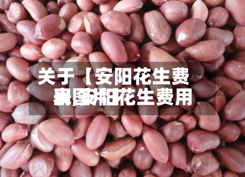 关于【安阳花生费用表,安阳花生费用表图片】-第2张图片