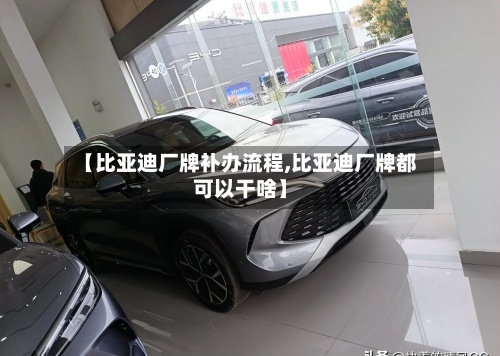 【比亚迪厂牌补办流程,比亚迪厂牌都可以干啥】-第2张图片