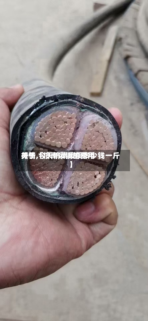 关于【济南废铜的费用行情,今天济南废铜多少钱一斤】