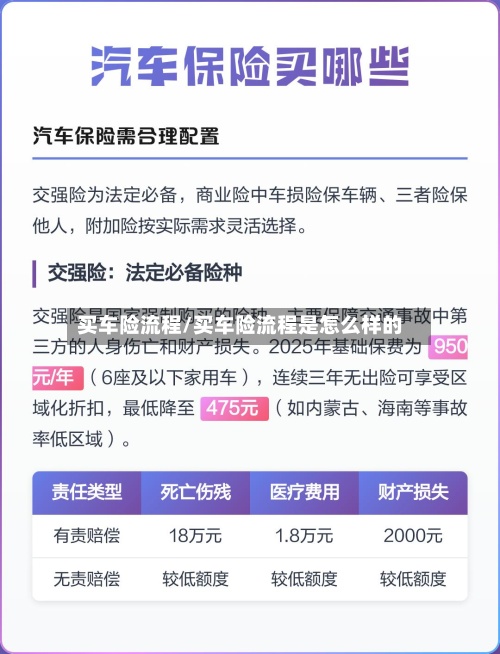 买车险流程/买车险流程是怎么样的