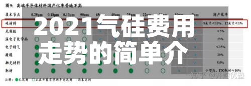 2021气硅费用走势的简单介绍-第2张图片