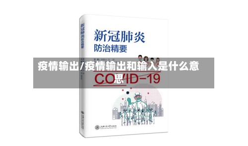 疫情输出/疫情输出和输入是什么意思
