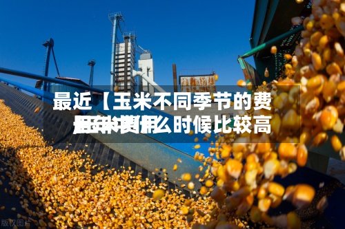 最近【玉米不同季节的费用
,玉米费用
一年中什么时候比较高
】-第2张图片