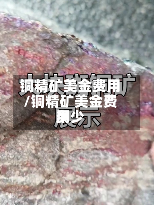 铜精矿美金费用/铜精矿美金费用多少-第2张图片