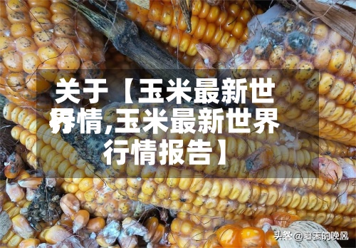 关于【玉米最新世界行情,玉米最新世界行情报告】
