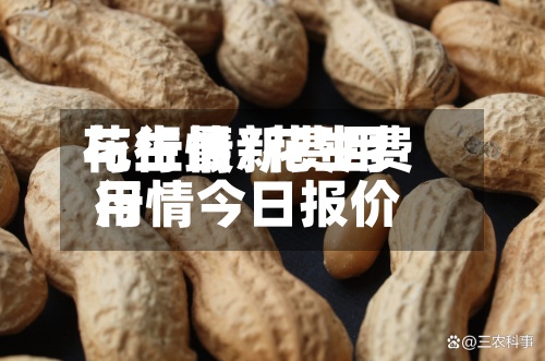 花生最新费用与行情/花生费用行情今日报价