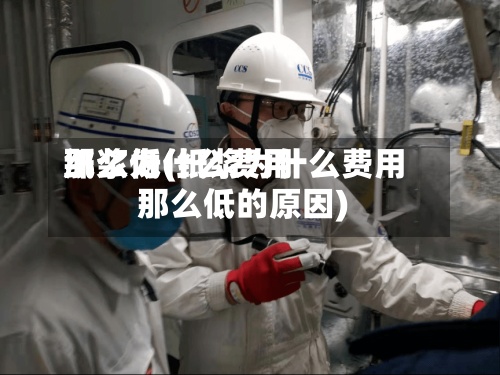 纸浆为什么费用那么低(纸浆为什么费用那么低的原因)