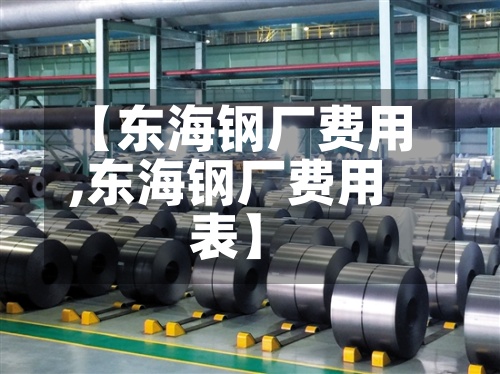 【东海钢厂费用,东海钢厂费用表】