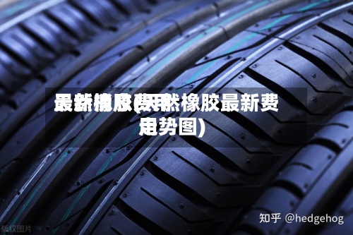 天然橡胶费用最新消息(天然橡胶最新费用走势图)