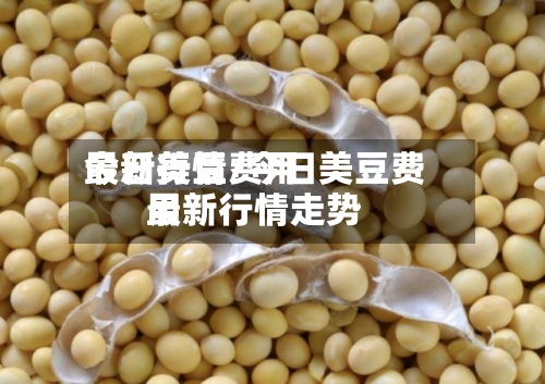 今日美豆费用最新行情/今日美豆费用最新行情走势