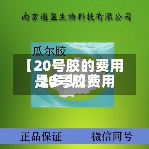 【20号胶的费用,20号胶费用是多少】