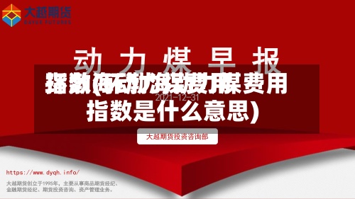 环渤海动力煤费用指数(环渤海动力煤费用指数是什么意思)