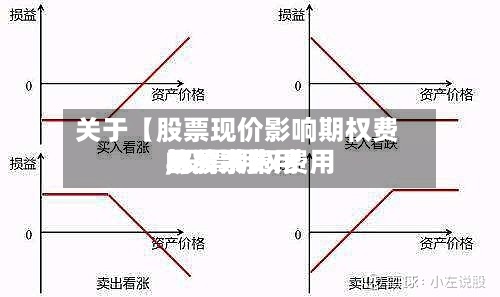 关于【股票现价影响期权费用
,股票期权费用
与股票费用
的关系】-第2张图片