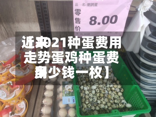 近来【2021种蛋费用走势蛋鸡种蛋费用多少钱一枚】-第2张图片