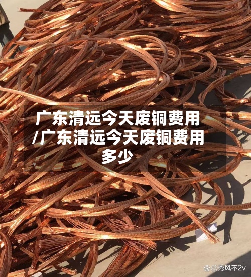 广东清远今天废铜费用
/广东清远今天废铜费用
多少-第2张图片
