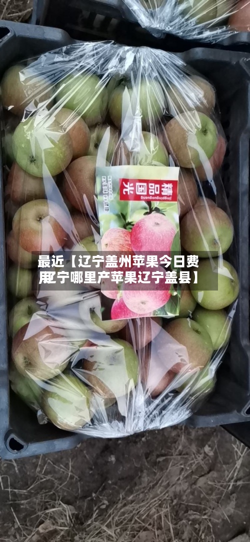 最近【辽宁盖州苹果今日费用
,辽宁哪里产苹果辽宁盖县】-第2张图片