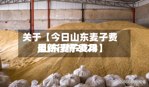 关于【今日山东麦子费用,山东麦子费用最新行情2023】-第2张图片