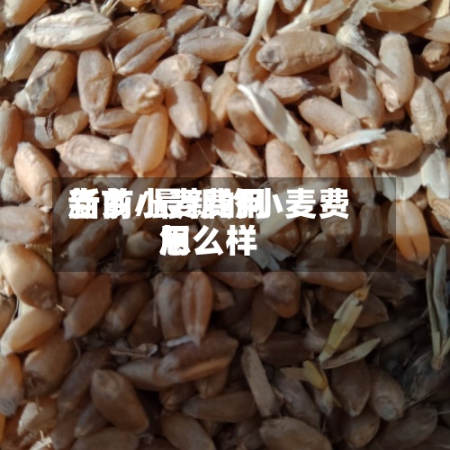 当前小麦费用
新乡/最新的小麦费用
怎么样-第2张图片