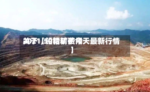 关于【铅精矿费用
2021,50铅精矿今天最新行情】-第2张图片