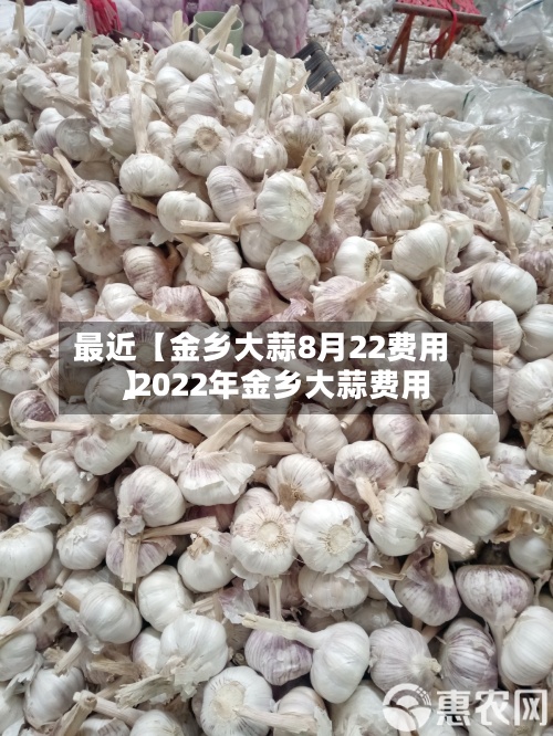 最近【金乡大蒜8月22费用
,2022年金乡大蒜费用
】-第2张图片