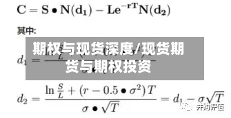 期权与现货深度/现货期货与期权投资-第2张图片
