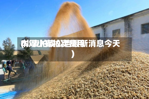 本周小麦拍卖费用
(小麦拍卖公告最新消息今天)-第3张图片