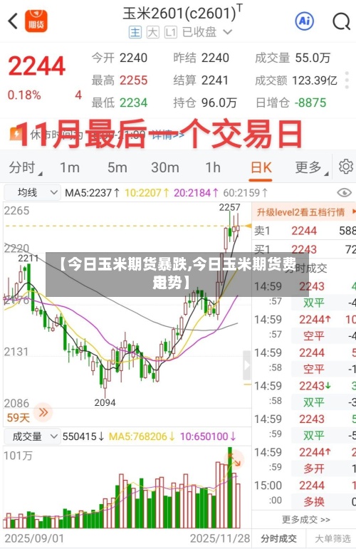 【今日玉米期货暴跌,今日玉米期货费用
走势】-第2张图片
