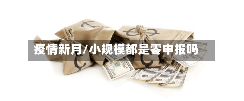 疫情新月/小规模都是零申报吗