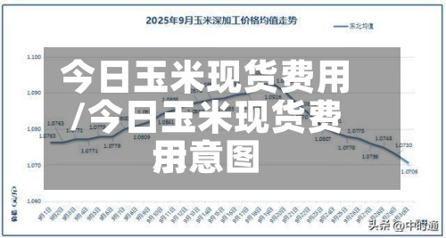 今日玉米现货费用/今日玉米现货费用示意图-第2张图片