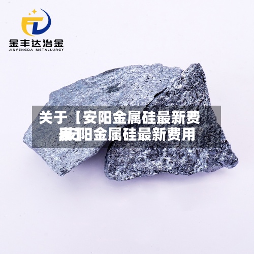 关于【安阳金属硅最新费用,安阳金属硅最新费用表】-第2张图片