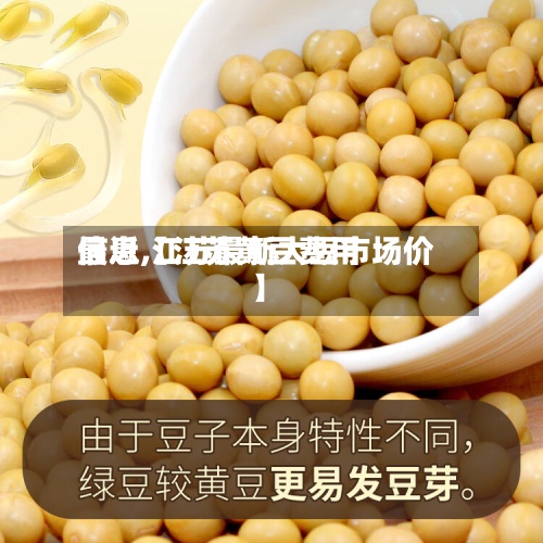 最近【江苏黄豆费用信息,江苏最新大豆市场价】-第3张图片