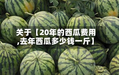 关于【20年的西瓜费用
,去年西瓜多少钱一斤】-第2张图片