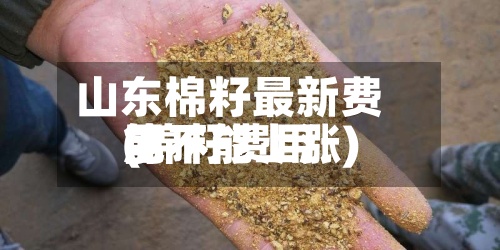 山东棉籽最新费用(棉籽费用能不能上涨)-第3张图片