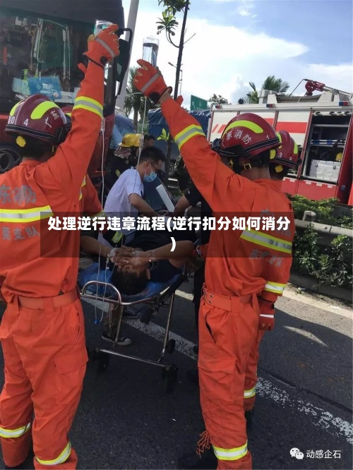 处理逆行违章流程(逆行扣分如何消分)