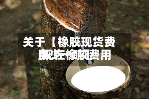 关于【橡胶现货费用,现在橡胶费用多少一吨】-第3张图片