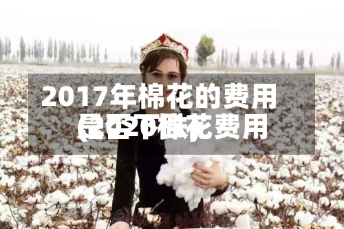2017年棉花的费用
(2020棉花费用
是否下跌)-第2张图片