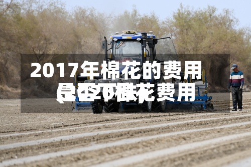 2017年棉花的费用(2020棉花费用是否下跌)