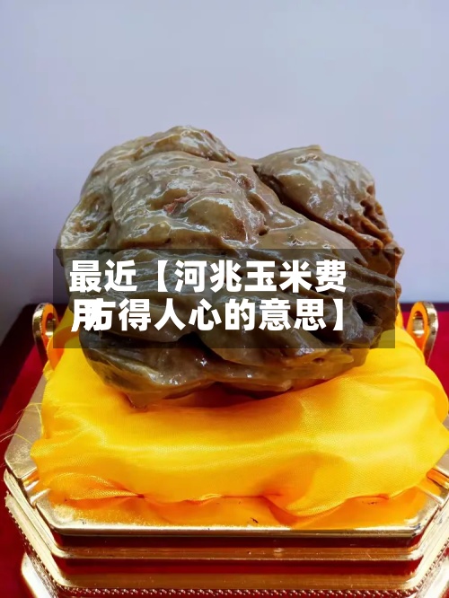 最近【河兆玉米费用,方得人心的意思】-第2张图片