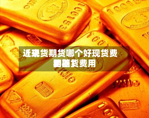 近来
【现货期货哪个好现货费用
和期货费用
的差】-第2张图片