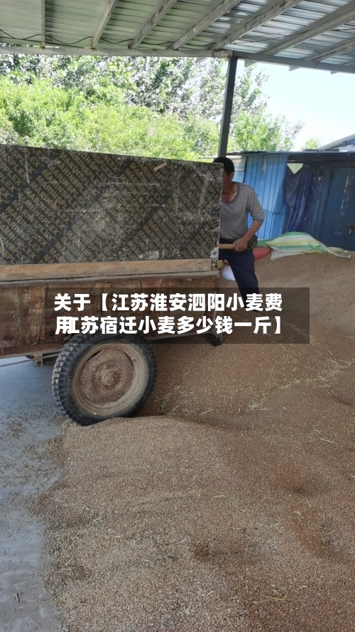 关于【江苏淮安泗阳小麦费用,江苏宿迁小麦多少钱一斤】-第2张图片